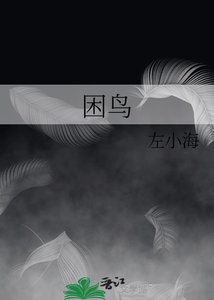 《困鸟》